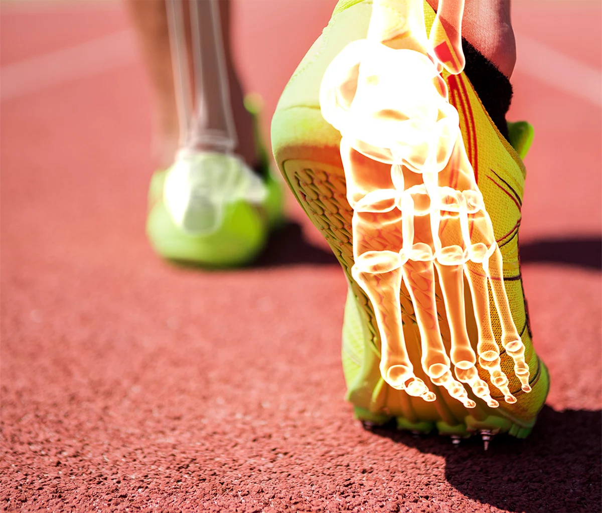 digital composite of highlighted foot bones 2 schindlegger.com SCHINDLEGGER