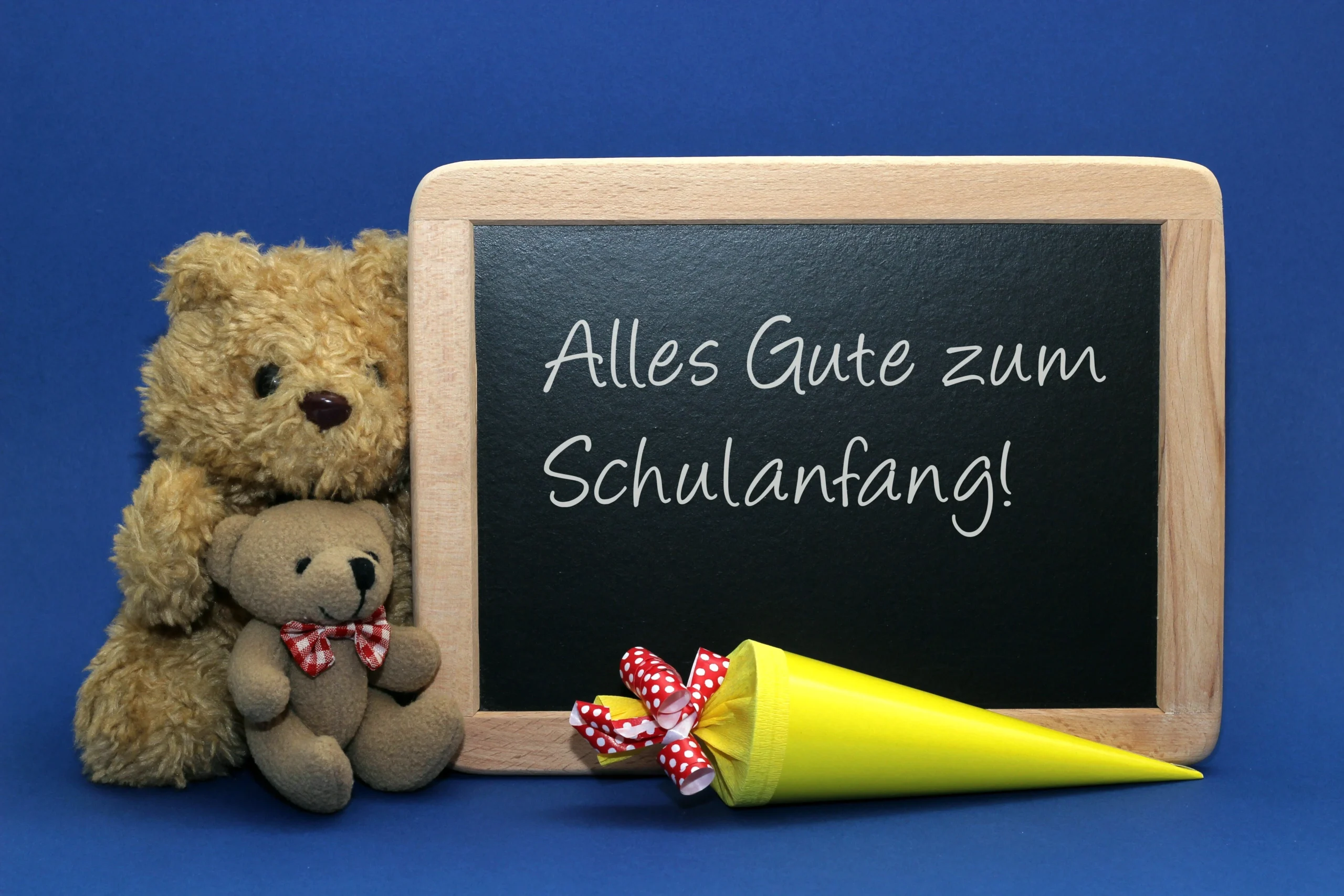 Schulbeginn Schindlegger scaled SCHINDLEGGER